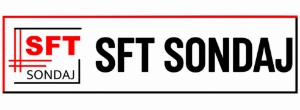 Sft Sondaj logosu